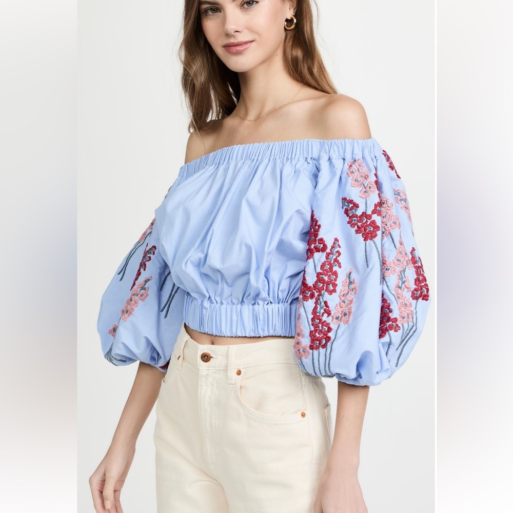 NWT Silvia Tcherassi Castell Blouse Size XS with embroidered flowers